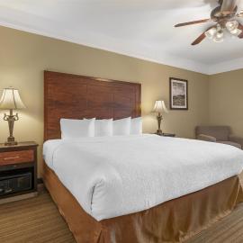 Best Western Plus Monica Royale Inn & Suites, hotel in Greenville