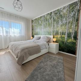 Zu Hause im Birkenwald