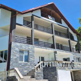 Casa Dobrin, hotel a Arefu