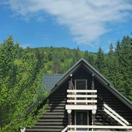 Synevyr House 2, hotel in Synevyrsʼka Polyana