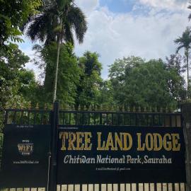 Hotel Tree Land Lodge and Cottage