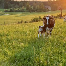 Resta farm bondgårdshotell، فندق في Örsundsbro