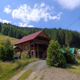 Лісовик, hotel in Synevyrsʼka Polyana