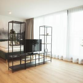 Black Forest Suites Achern, hotell i Achern