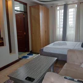 SpringStone executive STUDIO apartment A19