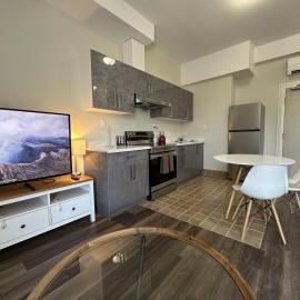 Furnished Simcoe Lofts, hotel v destinácii Oshawa