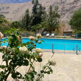 Cabañas Pisco Elqui, hotel i Pisco Elqui
