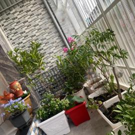 Hiwinwin Homestay Holiday, hotel in Chợ Phước Hải