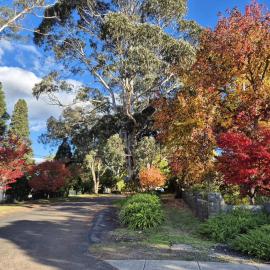 Fenway Cottage, hotel u gradu Bowral