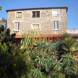 Gigia's House