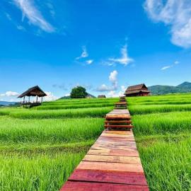 ເຂົ້າໜຽວຟາມສະເຕ-Kao Niaw Farmstay, Hotel in Luang Prabang