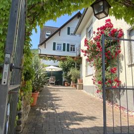 Ferienweingut Schlägel, Hotel in Bremm