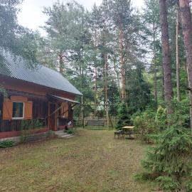 Leśna chatka, hotel v destinácii Wilga