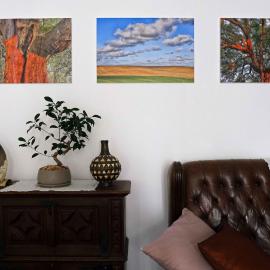 Matriz Home, hotel in Portel