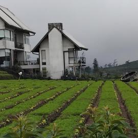 Nuwara Eliya में, होटल The Essence