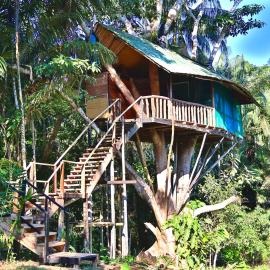 Reserva Natural Natura Park: Puerto Nariño'da bir otel
