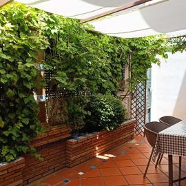 Casa de la Portuguesa, bonita terraza con barbacoa