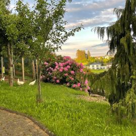 Am Waldrand, Hotel in Attendorn
