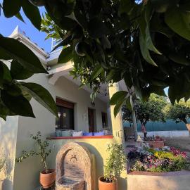 Pelion Malaki- Casa Verde