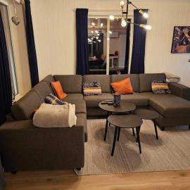 Flott hytte i Elgtrakket 9, 3864 Rauland Skisenter - Holtardalen, hotel a Torvetjørn