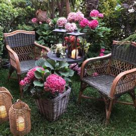 Maisonette on the beach with small garden, Hotel in AgiaKampos