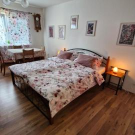 Apartmán ANNA, hotel in Honice