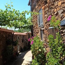 Casa do Forno, hôtel à Sobreira Formosa
