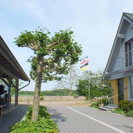 Am See