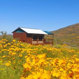 Agama Tented Camp, hotel v mestu Garies