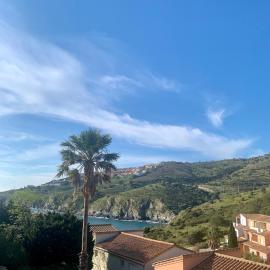 Appartement vue mer 2-4 P