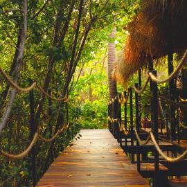 Hotel Noga, khách sạn ở Zipolite