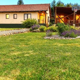 Bellevue Beam House, hotel in Covasna