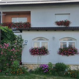 Apartments Žegarac House