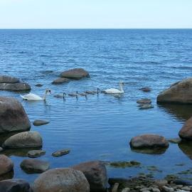 Уютная квартира в 10 минутах от моря، فندق في Aseri
