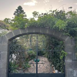Schicciolina, hotel en Stromboli