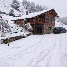 Ryan's Cabin