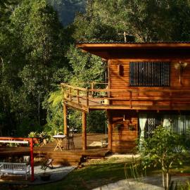 Propriedade inteira e Kombi-home em meio à mata