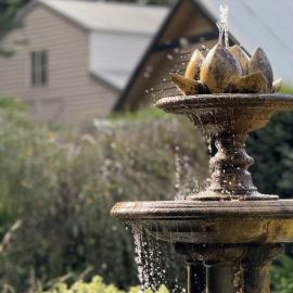 Elegant Country Living - The Homestead by Scotch Hill Truffle Farm