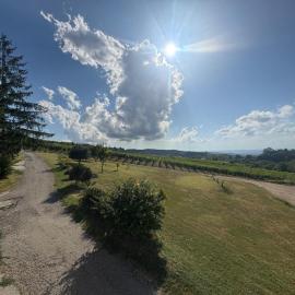 Langhe da cartolina, hotel Mangóban