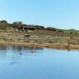 Countryside Container Home