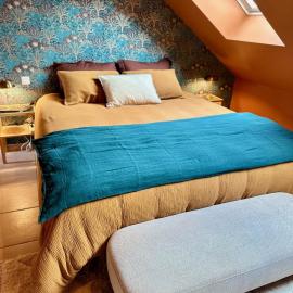 Parenthèse sous les toits - suite cosy avec jacuzzi - hypercentre, Hotel in Auxerre