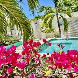 Fantastic Private Tropical Villa in Palm Beach with Breakfast