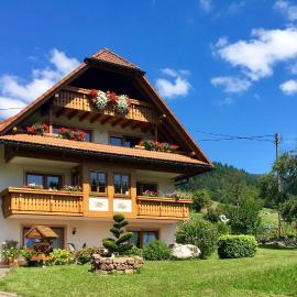 Felsenhof Simonswald, хотел в Симонсвалд