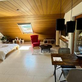 Pension Schmidt - Wipfelblick - Voll ausgestattetes Loft Apartment