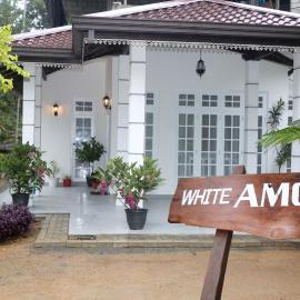 White Amora Ella