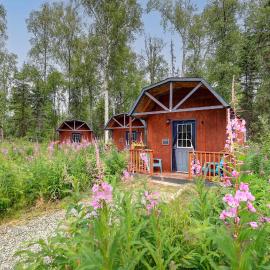 DFA Cabin Rentals、タルキートナのホテル