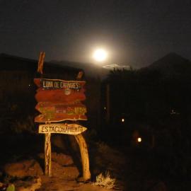 Luna de Chañares