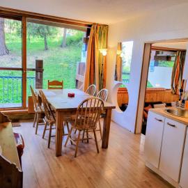 Appartement 5 pers, Lumineux, Wifi, Animaux admis - FR-1-346-584