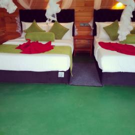 Serenity cottage