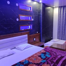 Hotel Dhan Luxmi, отель в городе Tārna